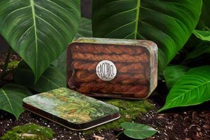 Bastones de Canela en caja 