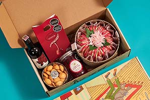 Ancheta Jugando con mi Mascota